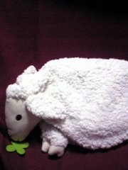 ������ہI